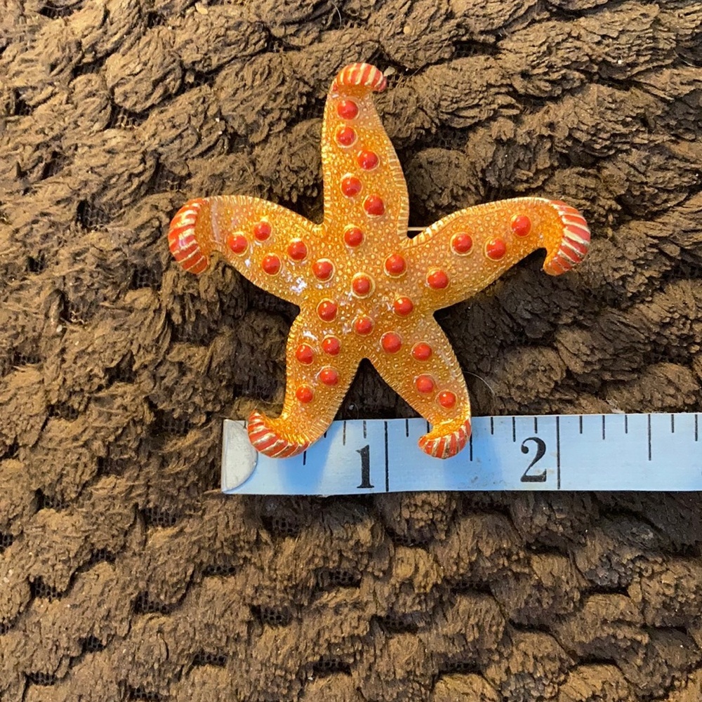 FINAL MARKDOWN Fun starfish pin